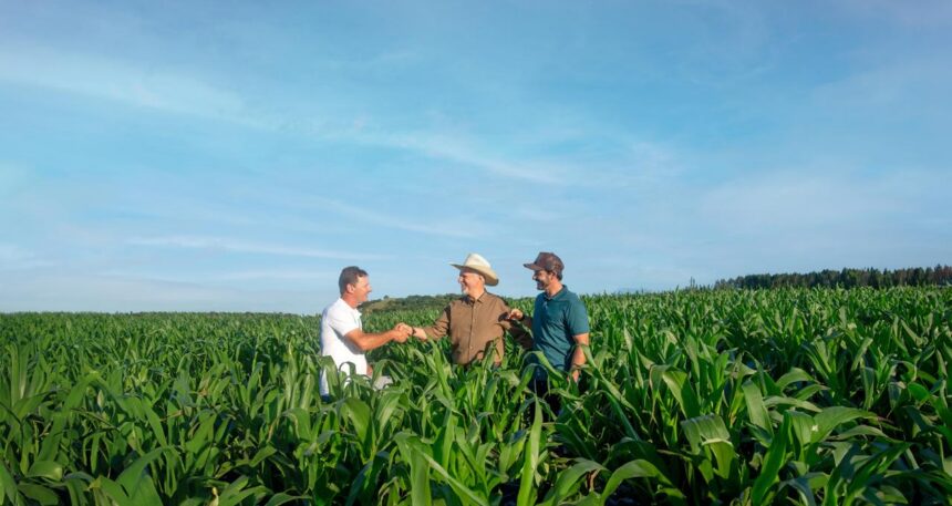 Sicredi libera R$ 8 bilhões em crédito rural em região que inclui Roraima na Safra 2025/2026