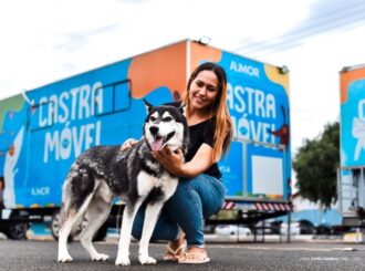 Castra Móvel atenderá cães e gatos machos do bairro Murilo Teixeira