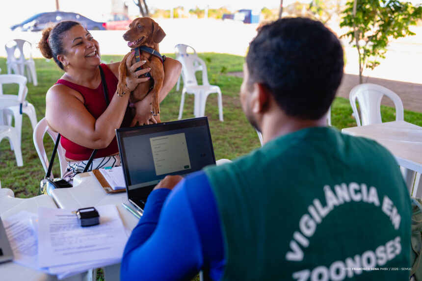 Castra Móvel garante esterilização gratuita e fortalece saúde dos animais em Boa Vista