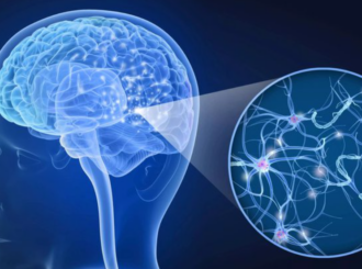 Esclerose múltipla tem novo tratamento com anticorpo aprovado pela Anvisa