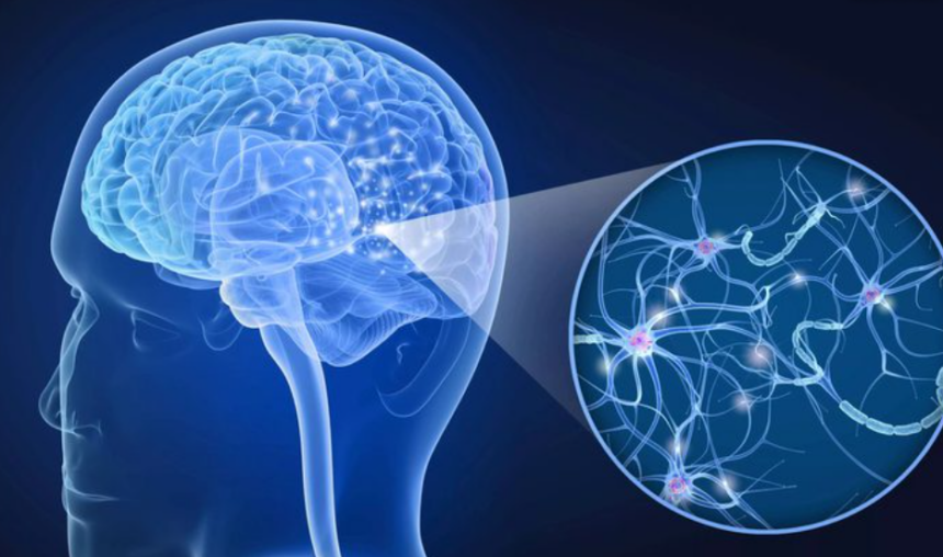 Esclerose múltipla tem novo tratamento com anticorpo aprovado pela Anvisa