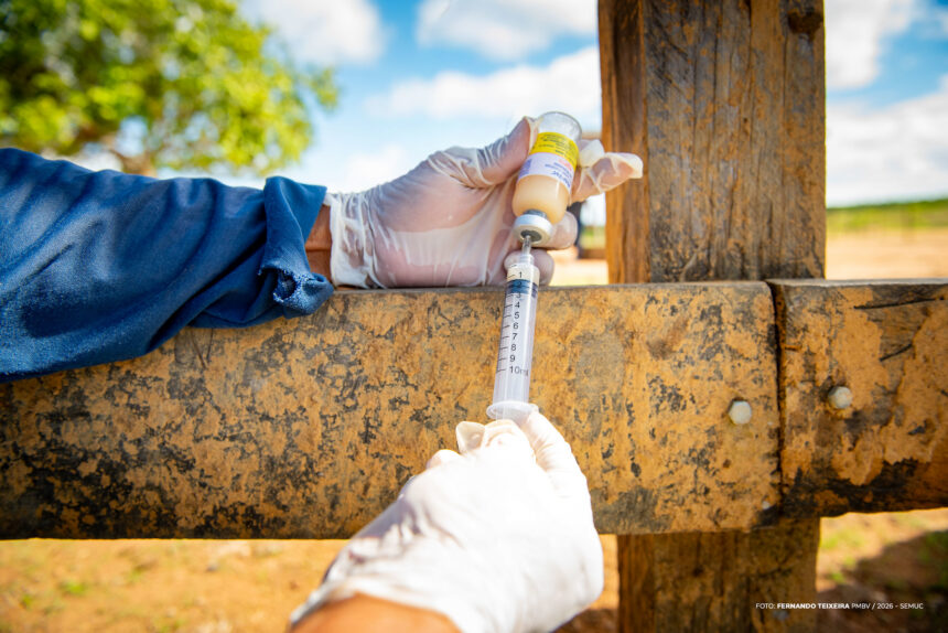 Prefeitura de Boa Vista inicia vacinação contra a brucelose nas comunidades indígenas do município