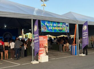Ação em Shopping resulta na adoção de 25 cachorros encontrados em abrigos para venezuelanos