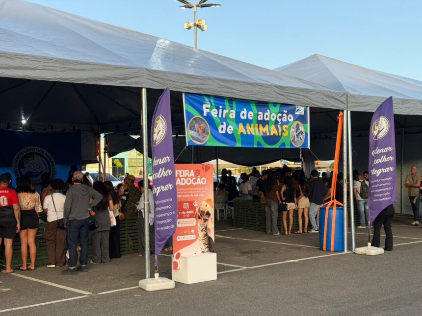 Ação em Shopping resulta na adoção de 25 cachorros encontrados em abrigos para venezuelanos