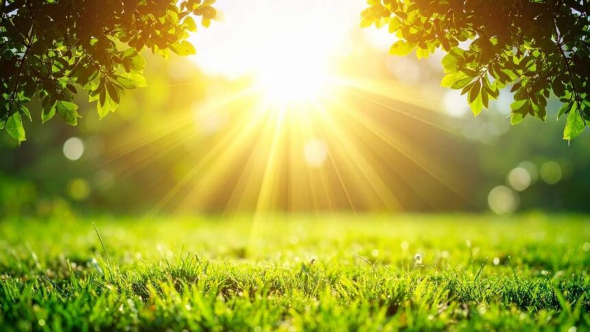 Nova descoberta pode transformar luz do Sol em combustível limpo do futuro