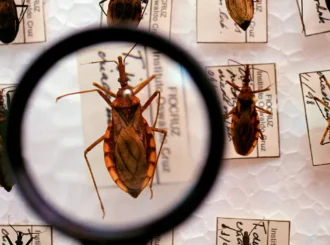 Saúde anuncia R$ 12 milhões para enfrentamento da doença de Chagas