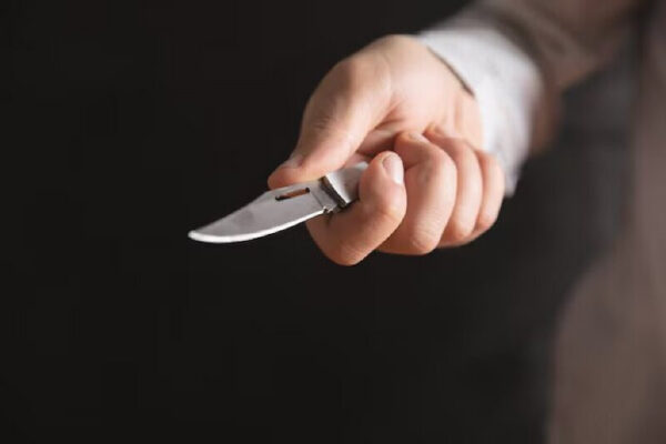 Agente de segurança é preso após esfaquear cachorro com canivete em Boa Vista