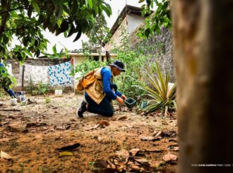 Mutirão de combate ao Aedes aegypti começa neste sábado, 23, em Boa Vista
