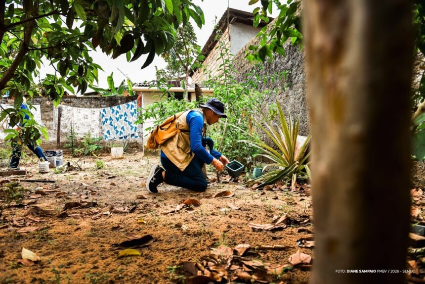 Mutirão de combate ao Aedes aegypti começa neste sábado, 23, em Boa Vista