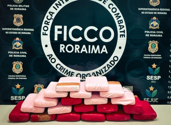 Ficco apreende 20 kg de drogas dentro de ônibus na BR-174, em Boa Vista