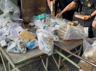 Operação Narke: Polícia Civil incinera drogas apreendidas  em Roraima