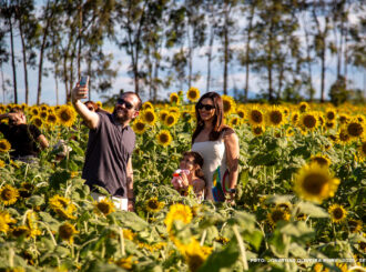 Campo de girassóis, show musical e exposição agrícola: confira a programação da AgroBV