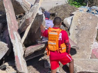 Cães do Corpo de Bombeiros de RR participam de treinamento de busca e salvamento em escombros