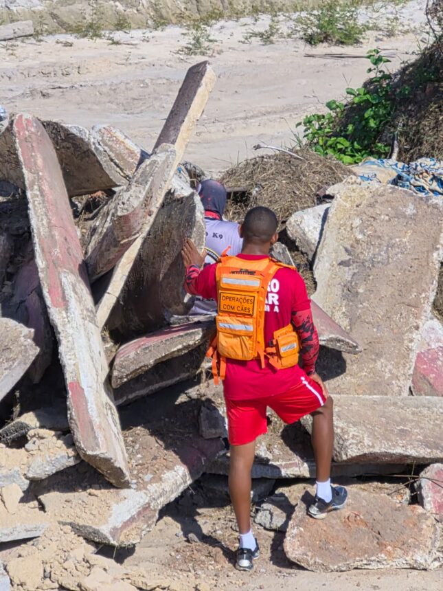 Cães do Corpo de Bombeiros de RR participam de treinamento de busca e salvamento em escombros