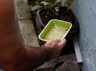 El Niño pode aumentar casos de chikungunya e dengue no Brasil