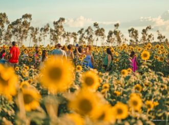 AgroBV terá espaços para expositores e ampla estrutura para impulsionar o agronegócio em Roraima