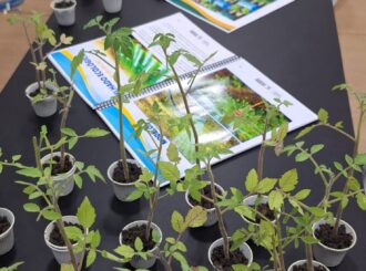Seed lança catálogo para implantação de hortas sustentáveis nas escolas estaduais de Roraima
