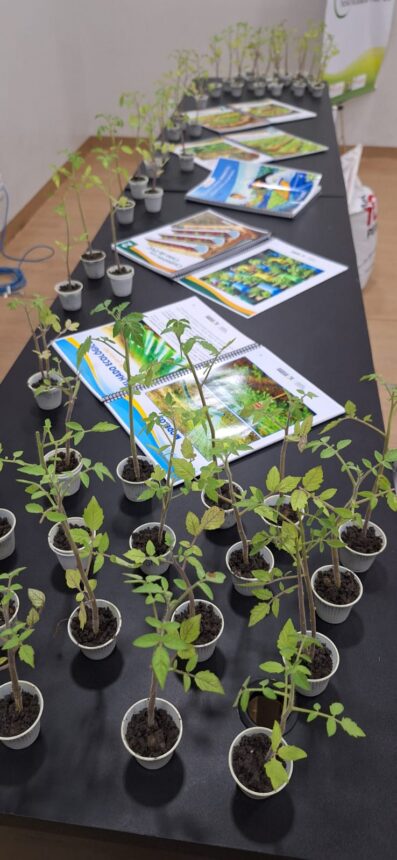 Seed lança catálogo para implantação de hortas sustentáveis nas escolas estaduais de Roraima