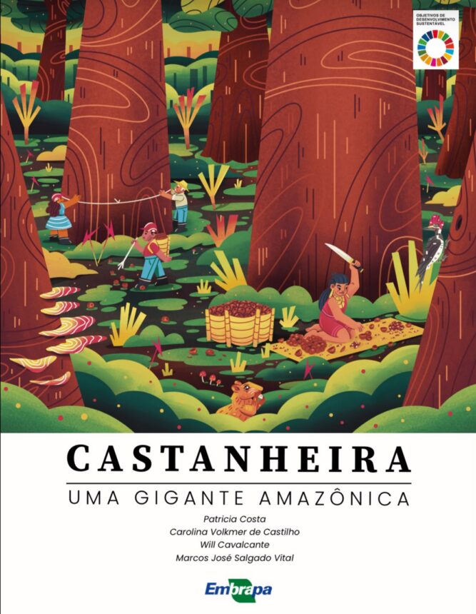 Livro Castanheira é semifinalista do prêmio Jabuti Acadêmico em duas categorias; resultado final será divulgado em 11 de agosto