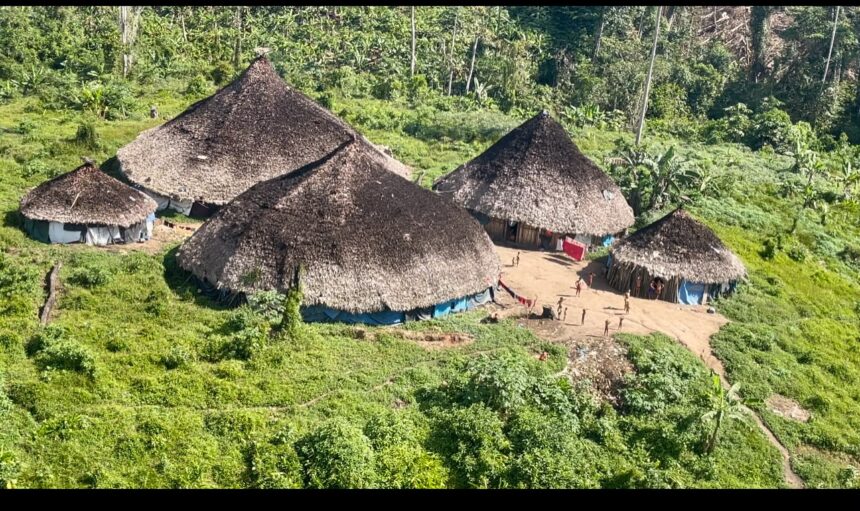 Associação Yanomami confirma morte de três crianças após conflito armado em terra indígena