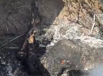 Moradores encontram corpo carbonizado ainda com fumaça em área urbana de Boa Vista