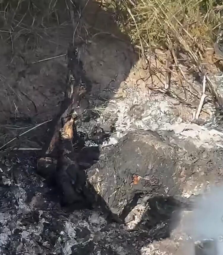 Moradores encontram corpo carbonizado ainda com fumaça em área urbana de Boa Vista