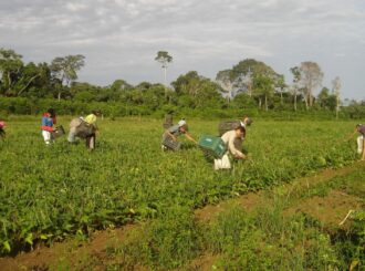 Governo estuda nova modalidade do programa Desenrola Rural