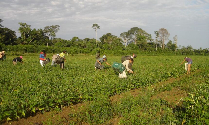 Governo estuda nova modalidade do programa Desenrola Rural