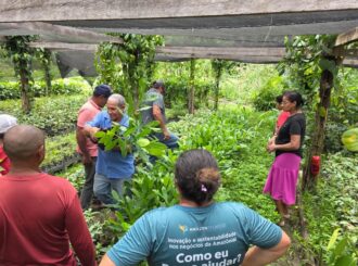 Projeto do Sebrae fortalece fruticultura e aumenta renda de produtores rurais em Roraima