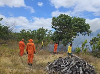 Comitê de Queimadas prorroga por 30 dias autorização para uso controlado e prescrito do fogo
