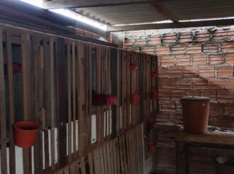 Polícia Civil apreende objetos usados em suposta rinha de galos em Boa Vista